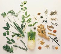 Herbal Remedies For Acne